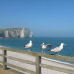 Visite Privée Etretat, Visite Etretat, Guide Conférencier Etretat, Guide Etretat, Visite Etretat