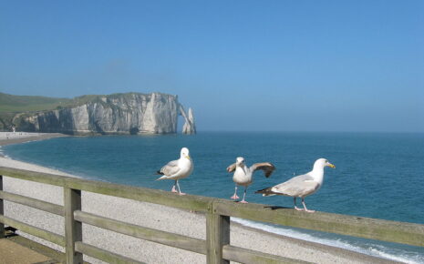 Visite Privée Etretat, Visite Etretat, Guide Conférencier Etretat, Guide Etretat, Visite Etretat