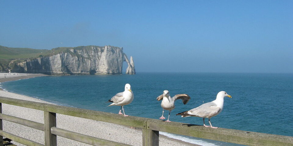 Visite Privée Etretat, Visite Etretat, Guide Conférencier Etretat, Guide Etretat, Visite Etretat