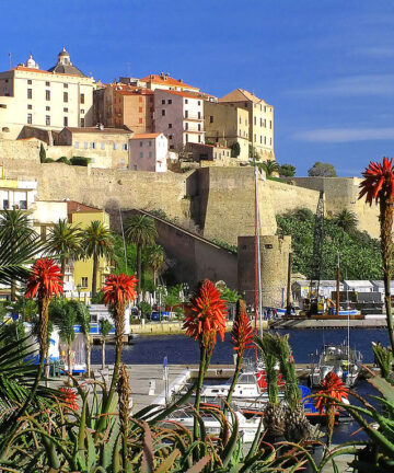 Calvi