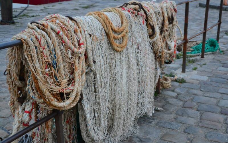 visiter honfleur